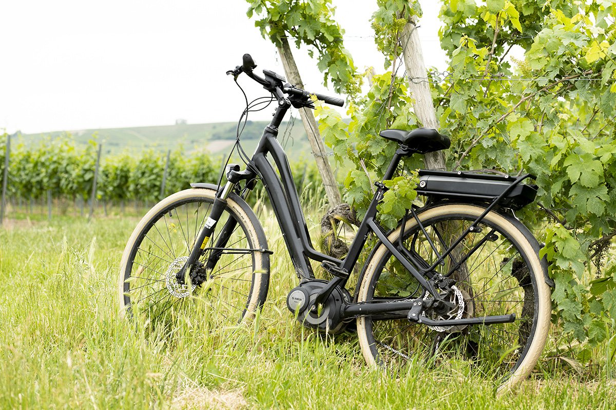 Fahrrad in den Weinbergen