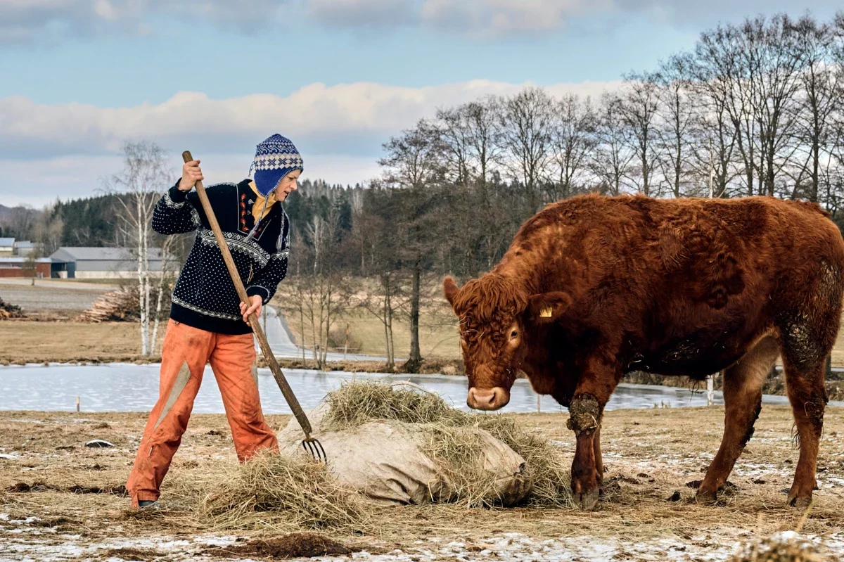Bäuerin mit Mistgabel neben Rind auf der Weide ©Nathalie Zimmermann