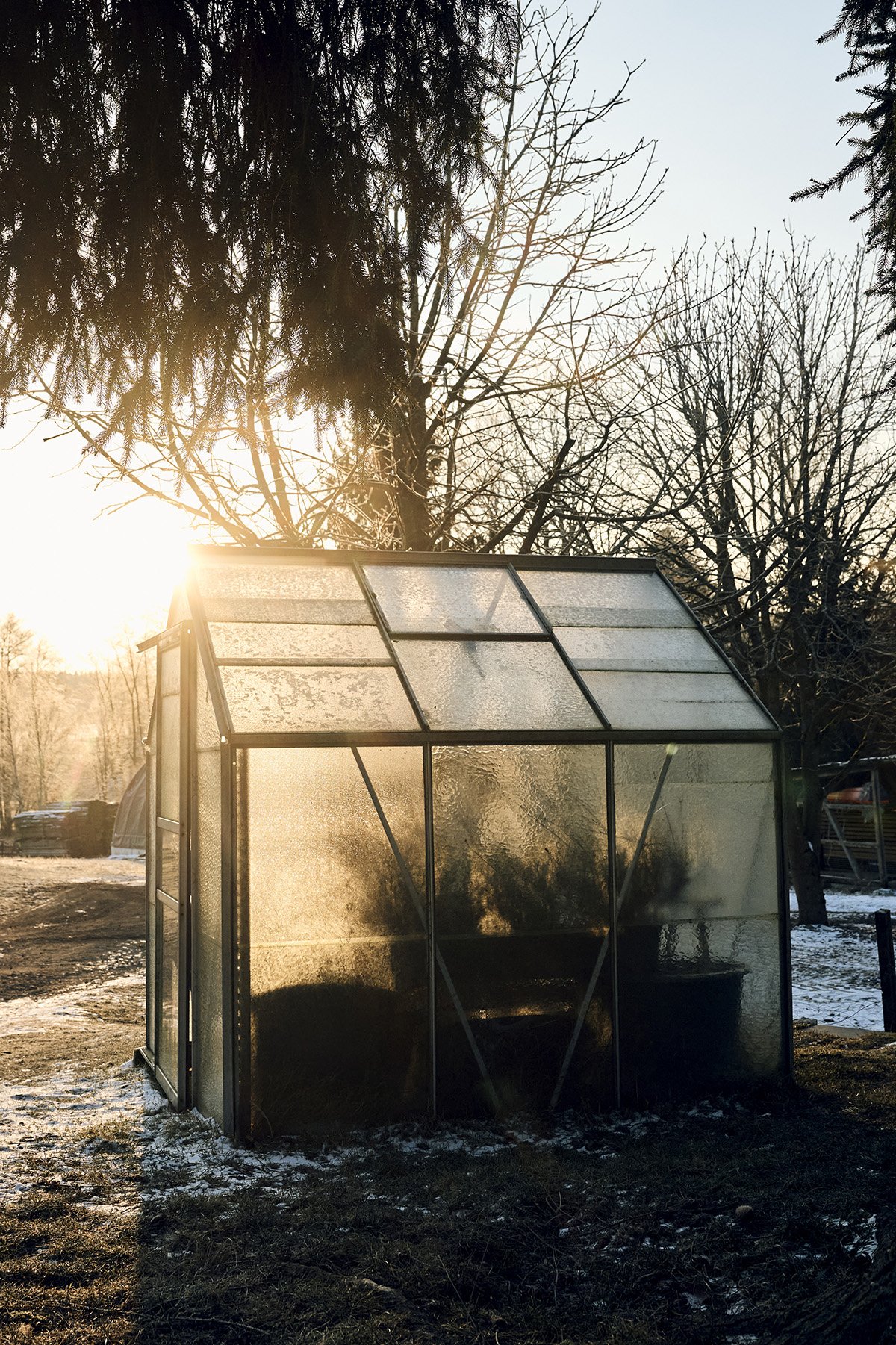 Schräbergarten in der Morgenstunde.