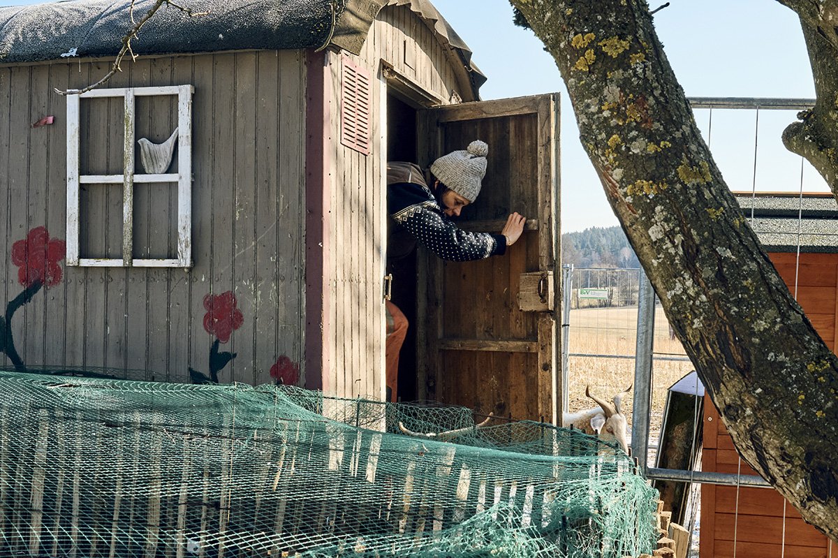 Bauwagen aus Holz für Freilandhühner.