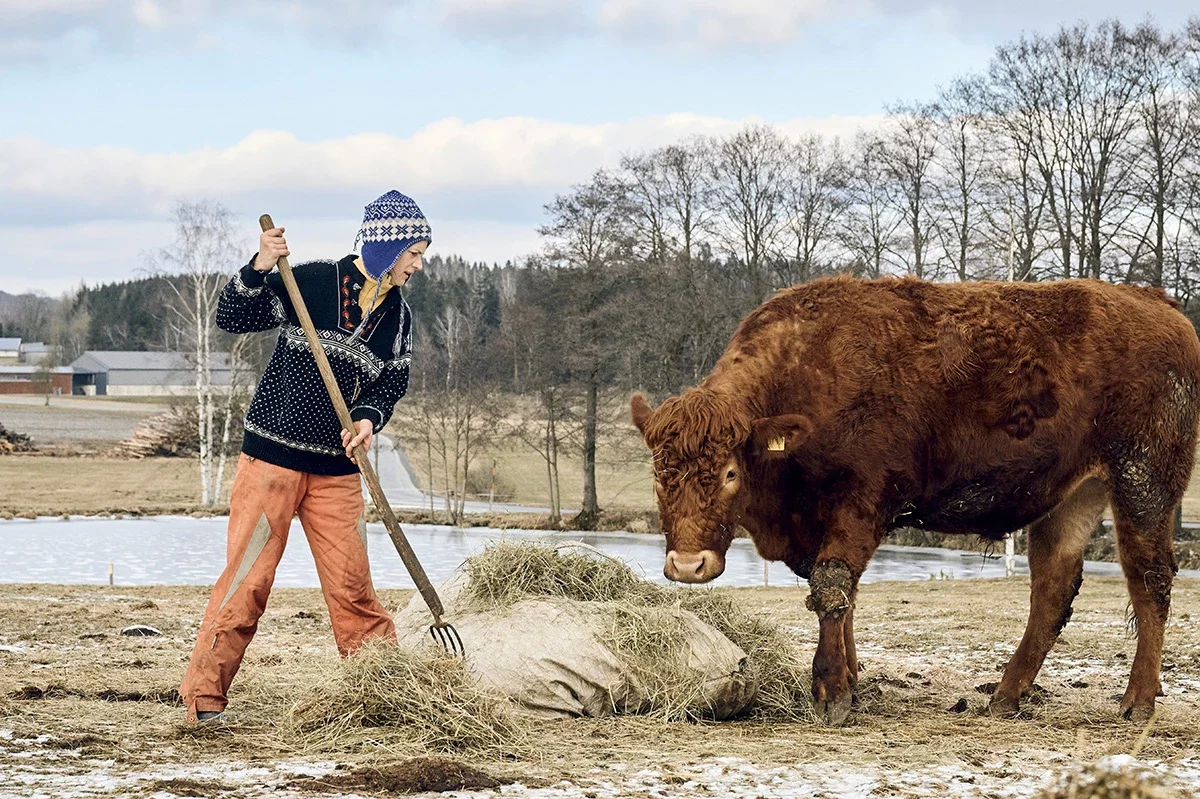 Landwirtin am Ausmisten auf der Weide im Winter.
