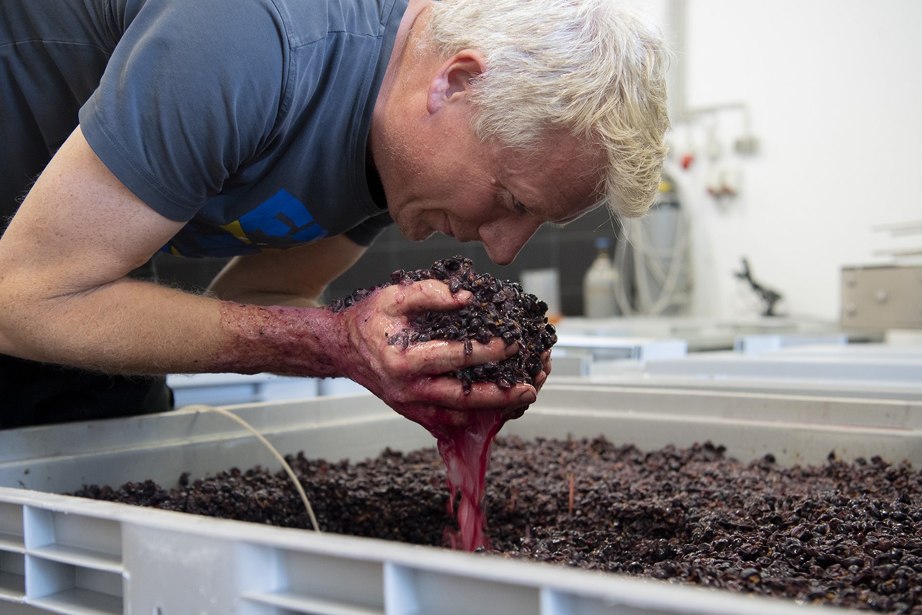 Winzer mit roten Trauben