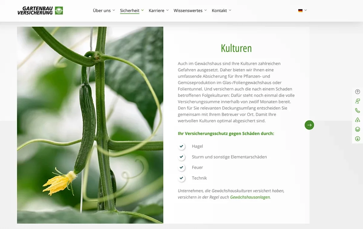 Screenshot Website Foto in Anwendung
